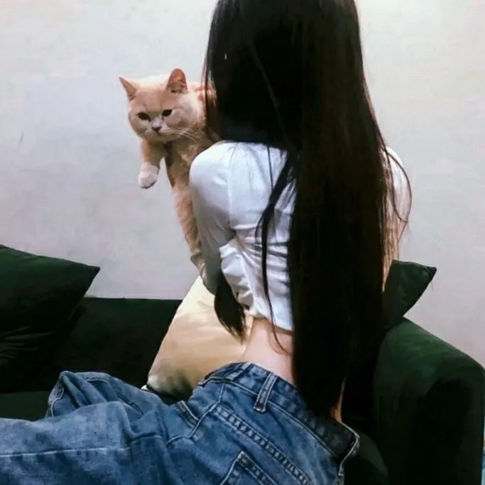 中间的房子